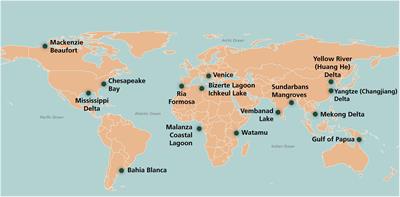 Anthropogenic, Direct Pressures on Coastal Wetlands